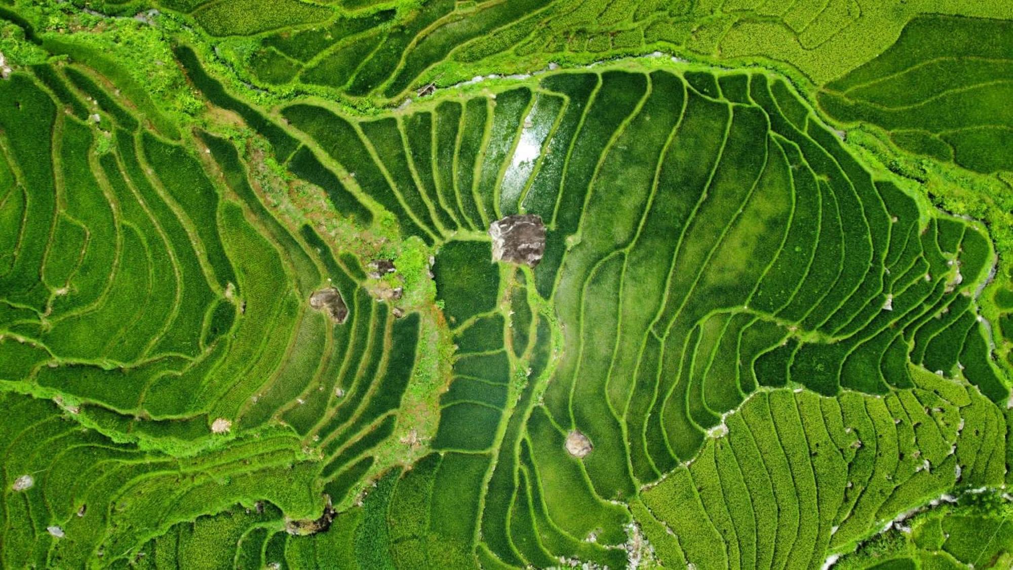 Hoa'S Homestay Sapa Exteriér fotografie