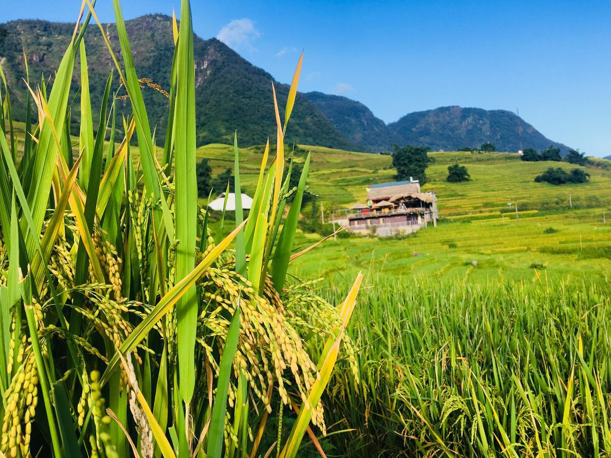 Hoa'S Homestay Sapa Exteriér fotografie