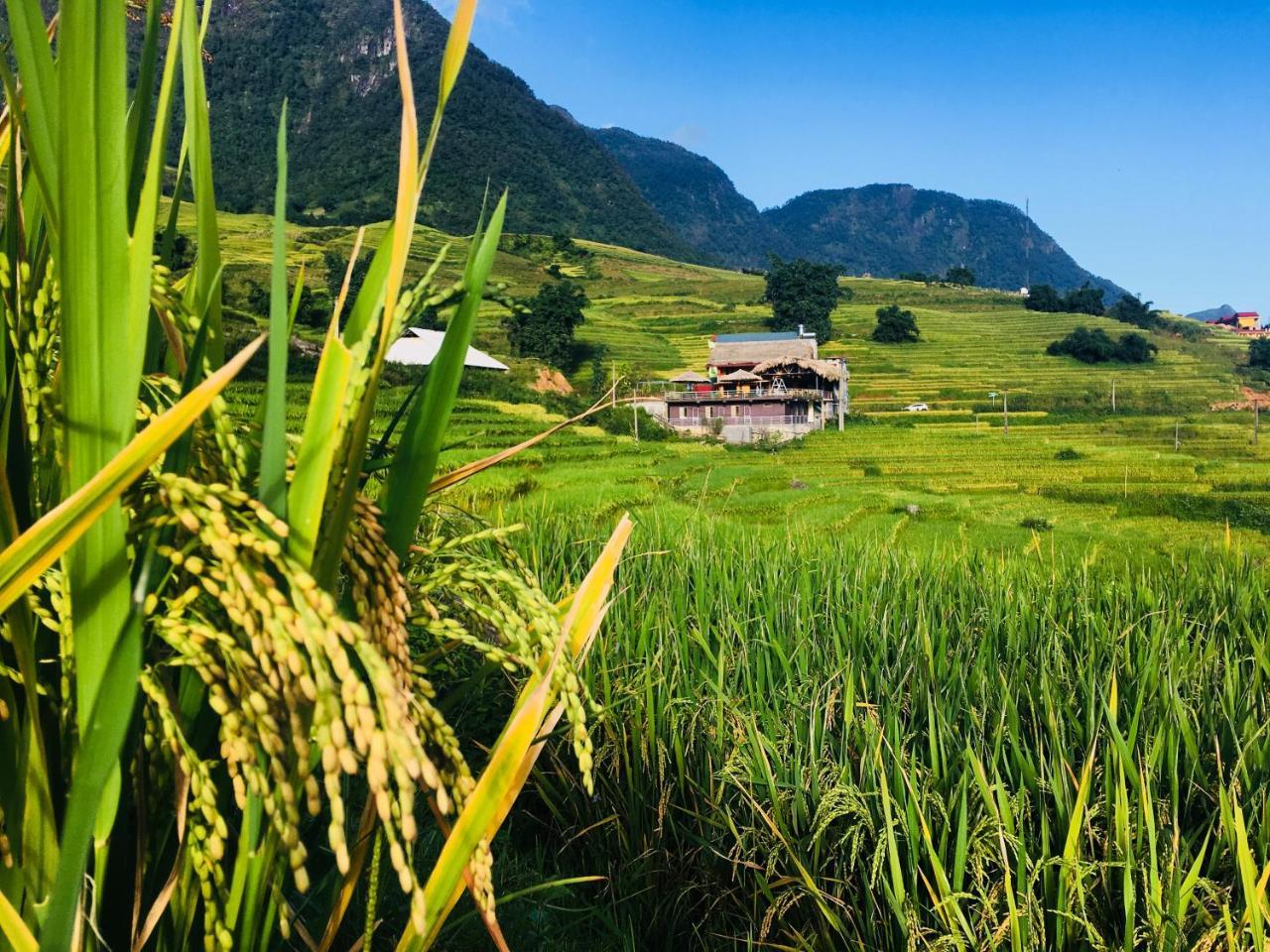 Hoa'S Homestay Sapa Exteriér fotografie